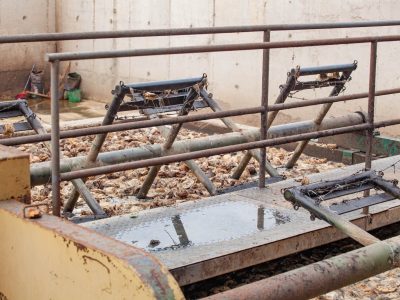 WhatsApp Image 2025-11-03 at 09.19.28