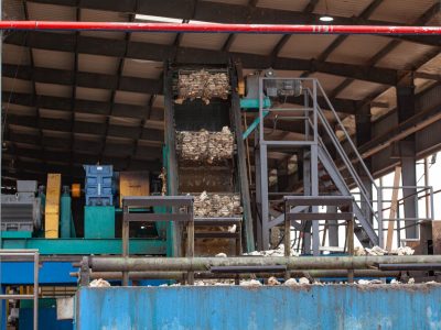 WhatsApp Image 2025-11-03 at 09.21.15